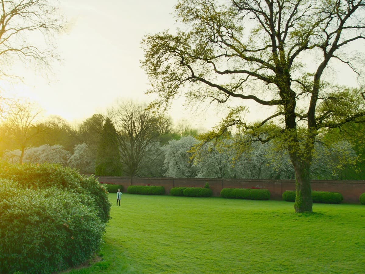 A walled garden in late spring blossom at golden hour, one person practising on the lawn